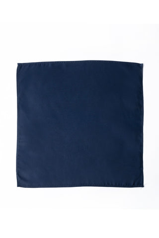 Pocket Square PS-302