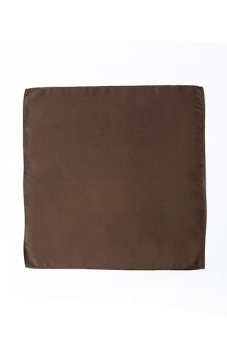 Pocket Square PS-301