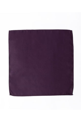 Pocket Square PS-310