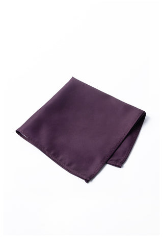 Pocket Square PS-310