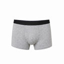 Light Gray Boxer Short