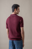 Johnny Collar Knit Polo