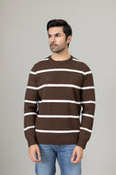 Brown Sweater