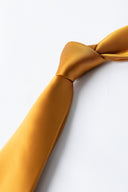 Tie - PLN-100