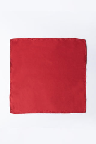 Pocket Square PS - 304