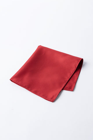 Pocket Square PS - 304