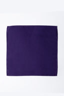 Pocket Square PS - 306