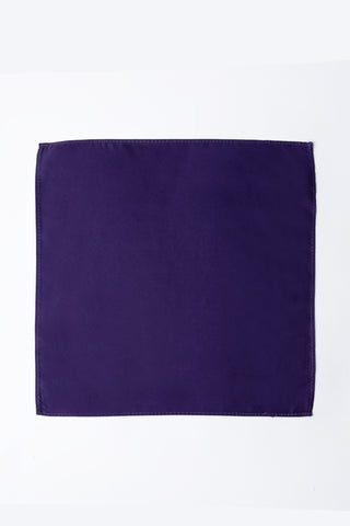 Pocket Square PS - 306