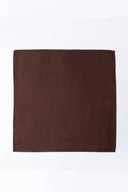 Pocket Square PS - 309