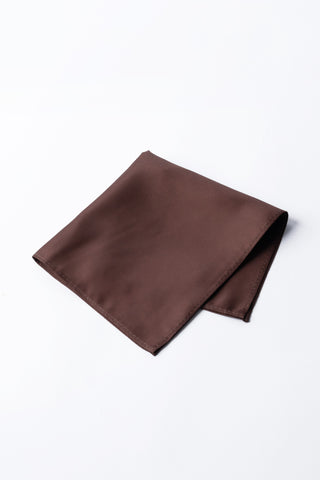 Pocket Square PS - 309