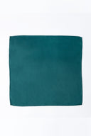 Pocket Square PS - 311