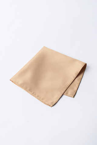 Pocket Square PS - 315