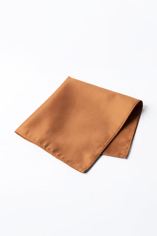 Pocket Square PS - 316