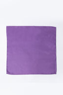 Pocket Square PS - 317
