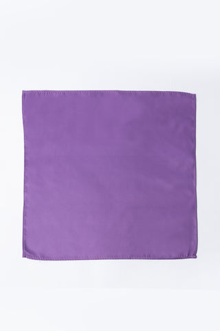 Pocket Square PS - 317