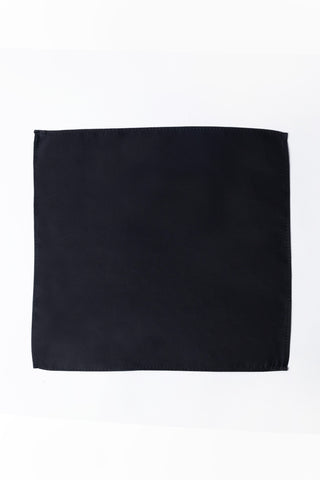 Pocket Square PS - 318