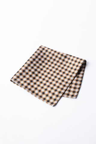 Pocket Square PS - 343