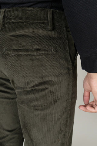 Olive Chino Pant